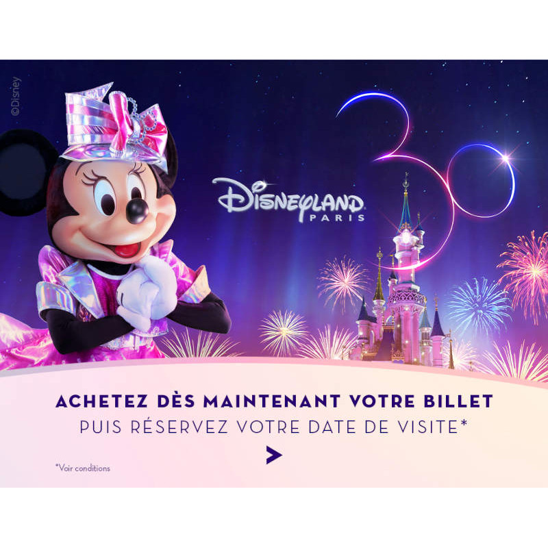 54€ Disneyland Billet entrée moins cher